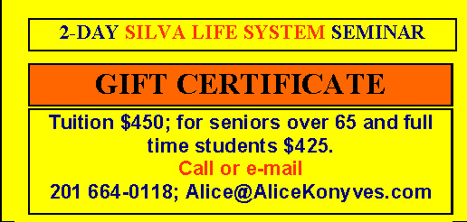 SilvaLifeSystem